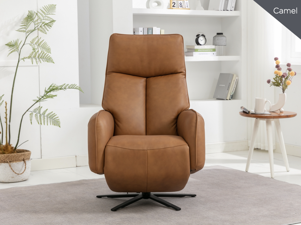Garbo Swivel Electric Recliner