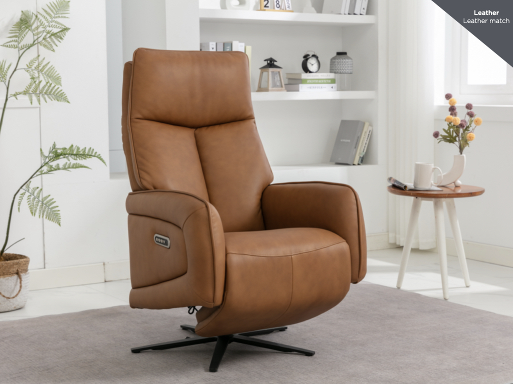 Garbo Swivel Electric Recliner