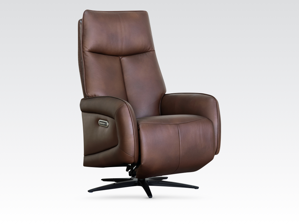 Garbo Swivel Electric Recliner